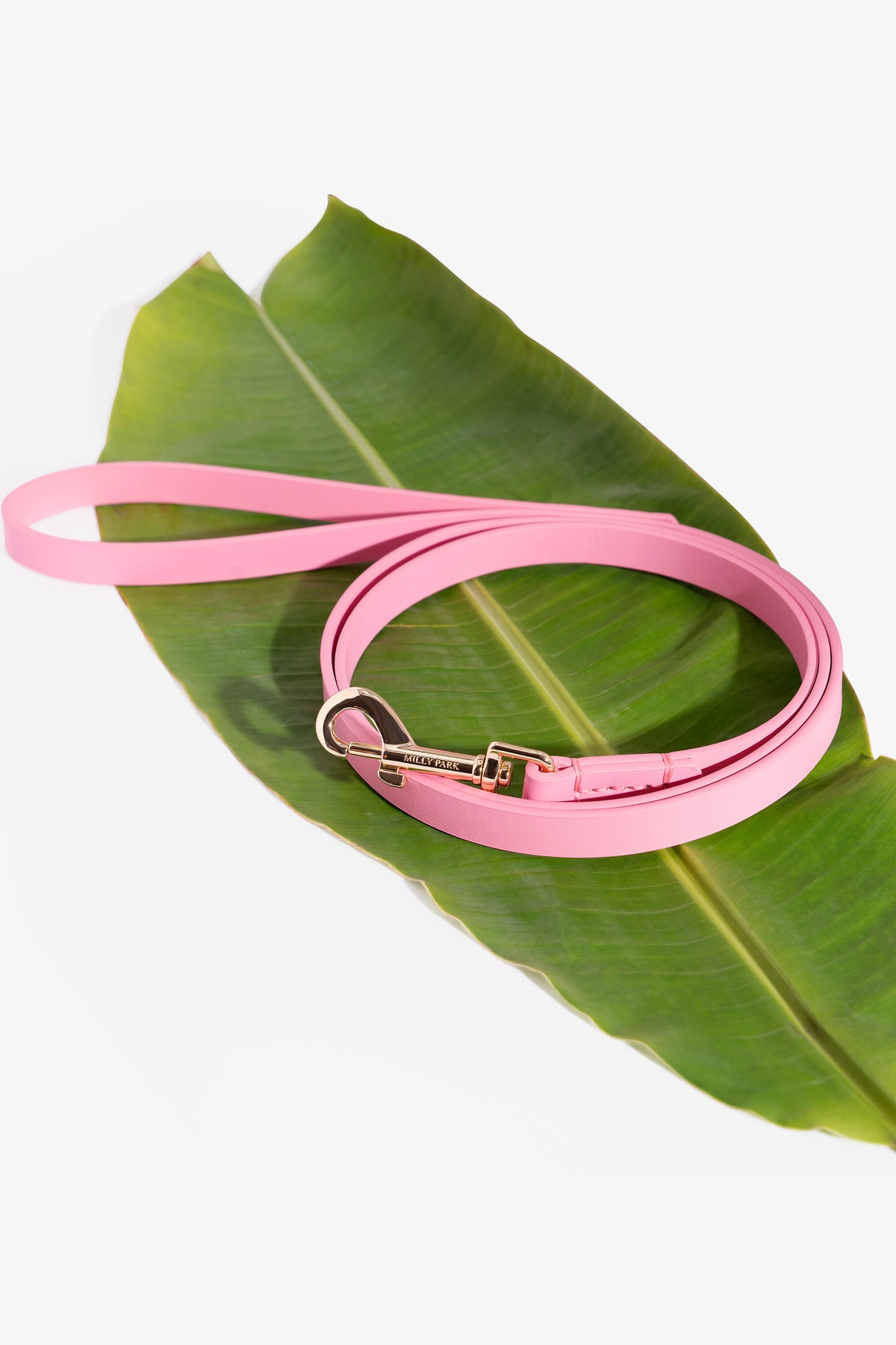 Leather pet Leash