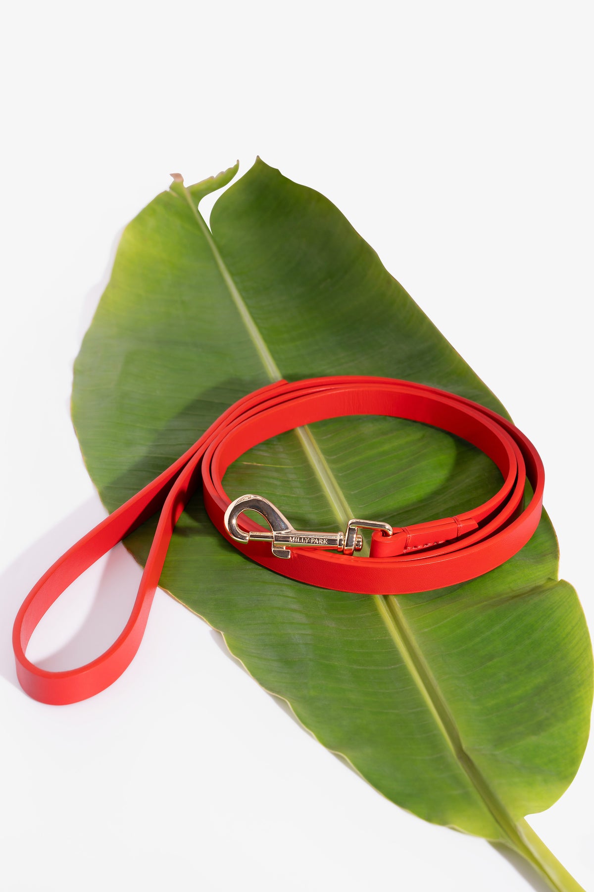 Leather pet Leash