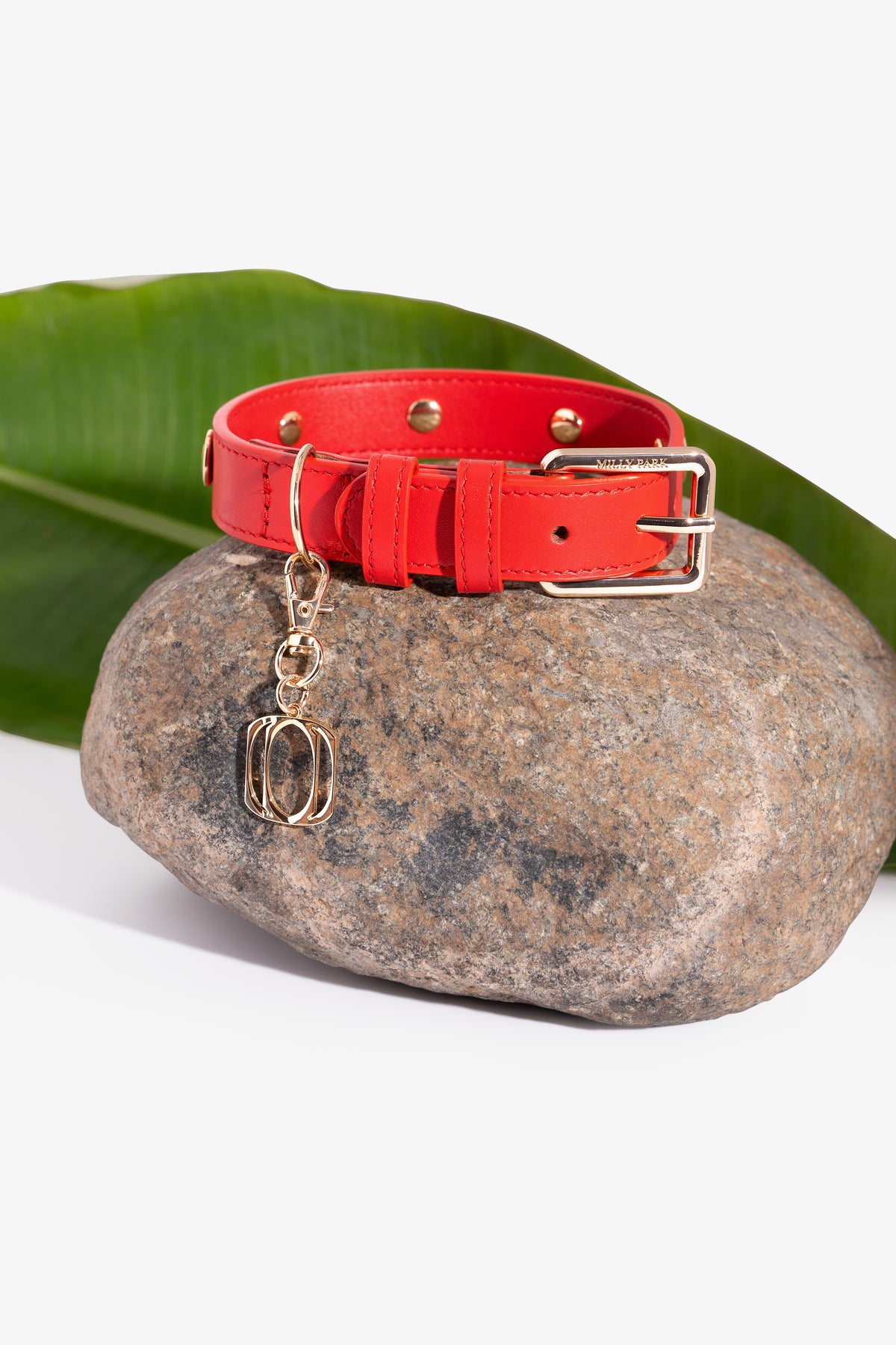Signature Logo Leather Pet Collar