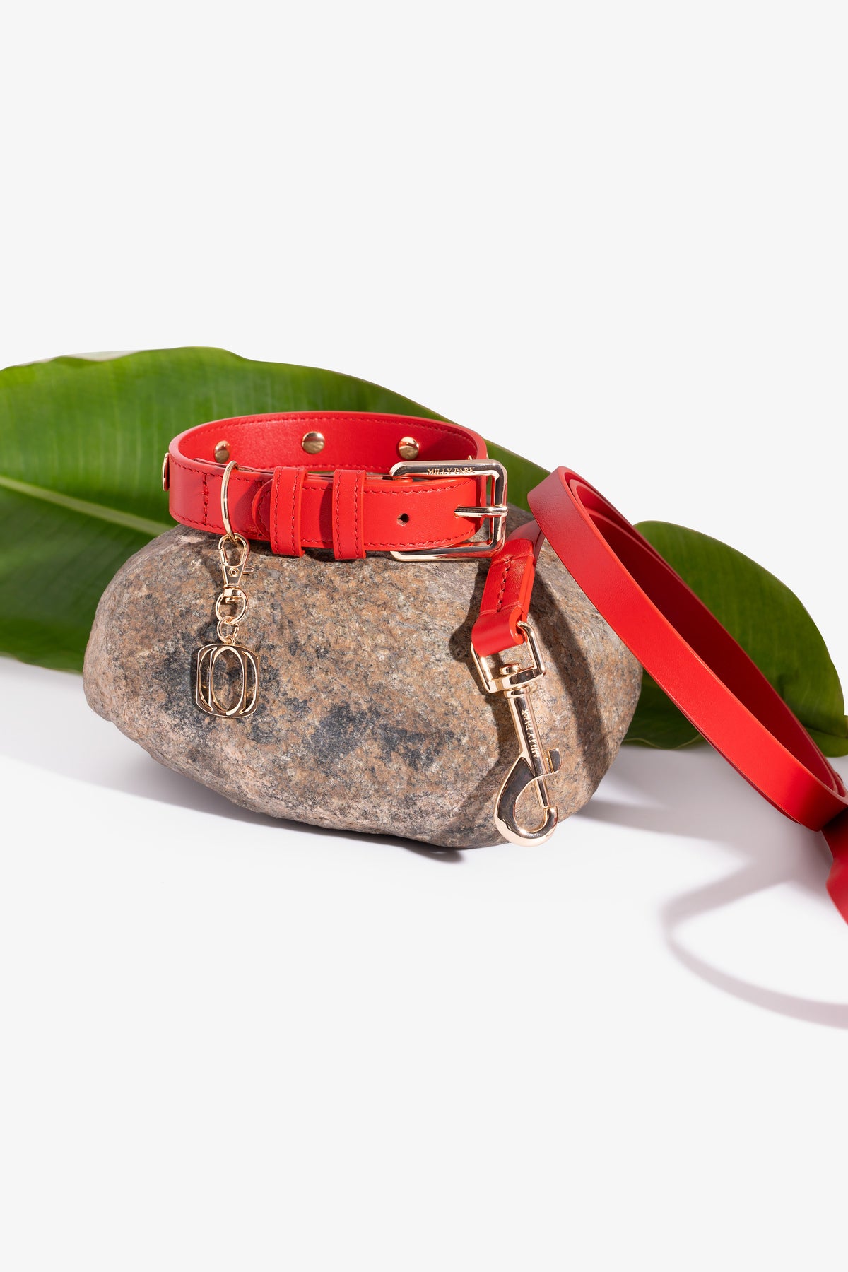 Leather pet Leash