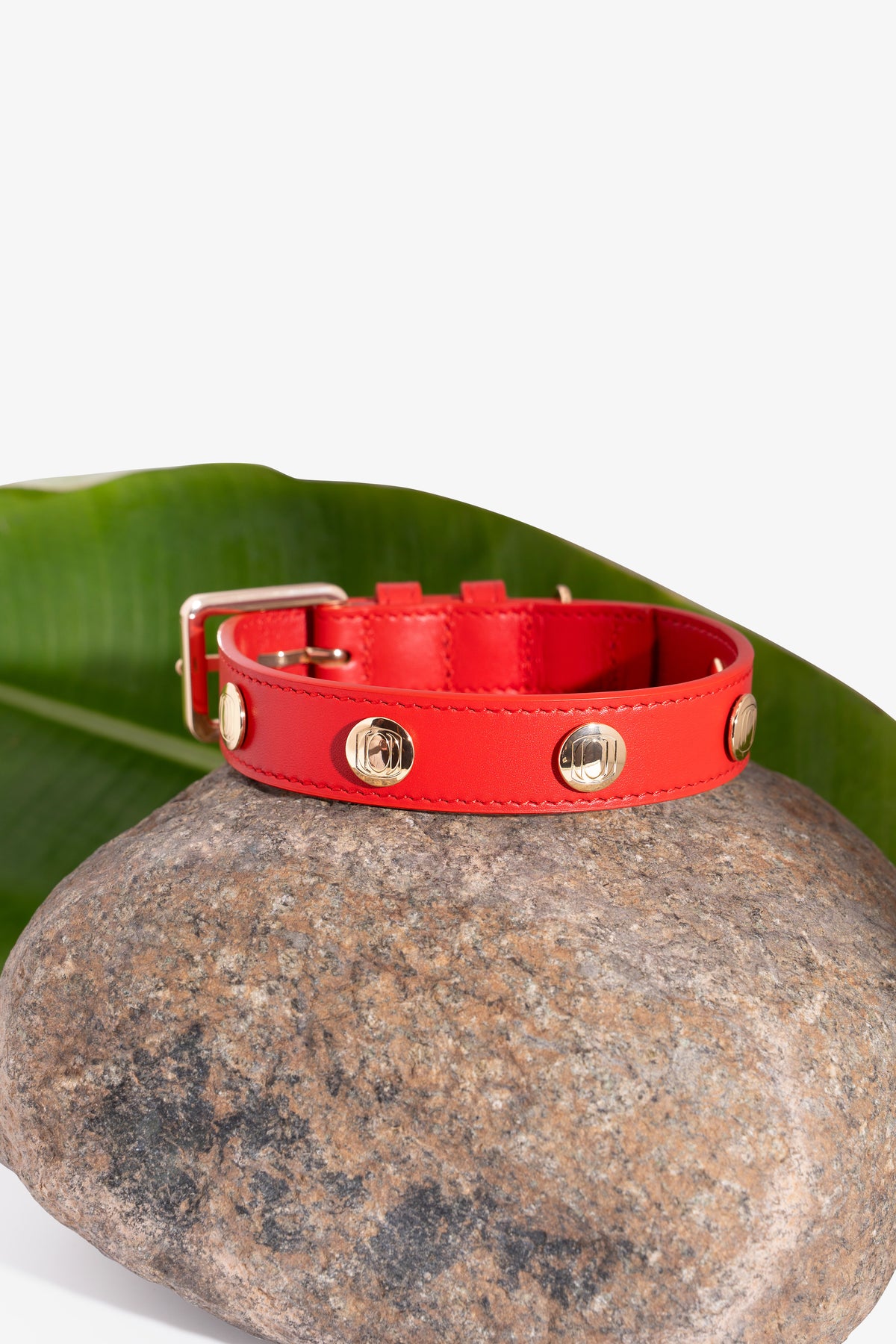 Signature Logo Leather Pet Collar