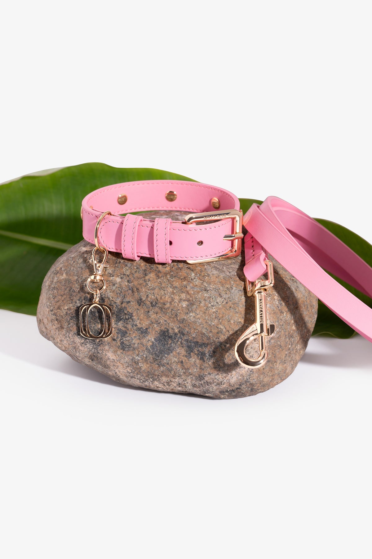 Leather pet Leash