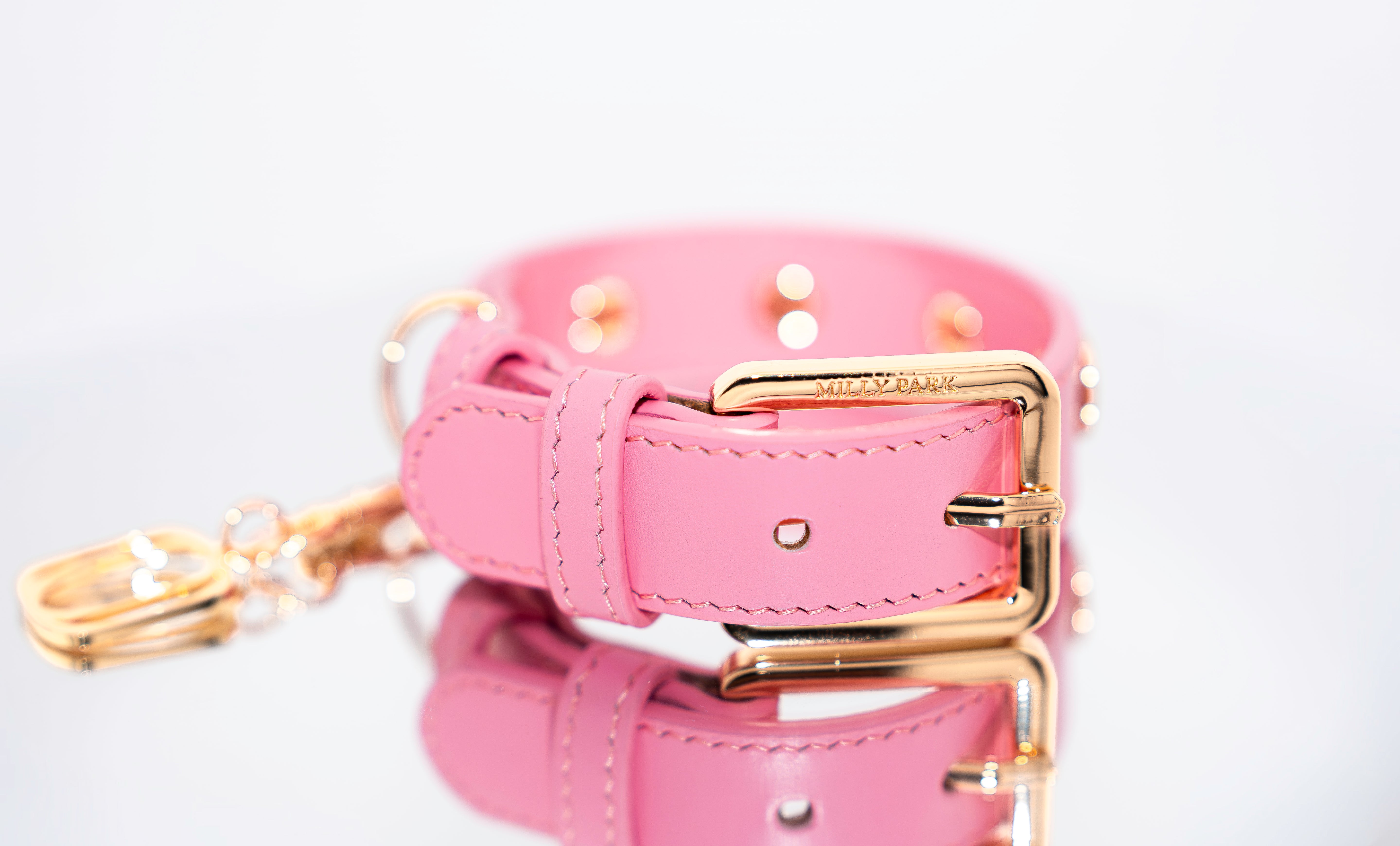 Signature Logo Leather Pet Collar