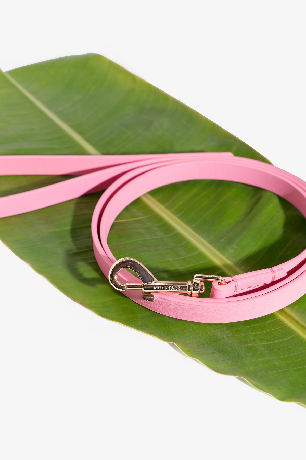 Leather pet Leash