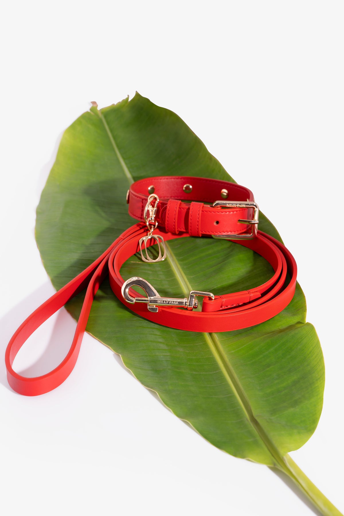 Leather pet Leash