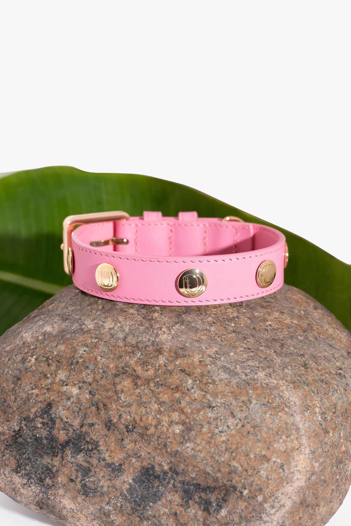 Signature Logo Leather Pet Collar