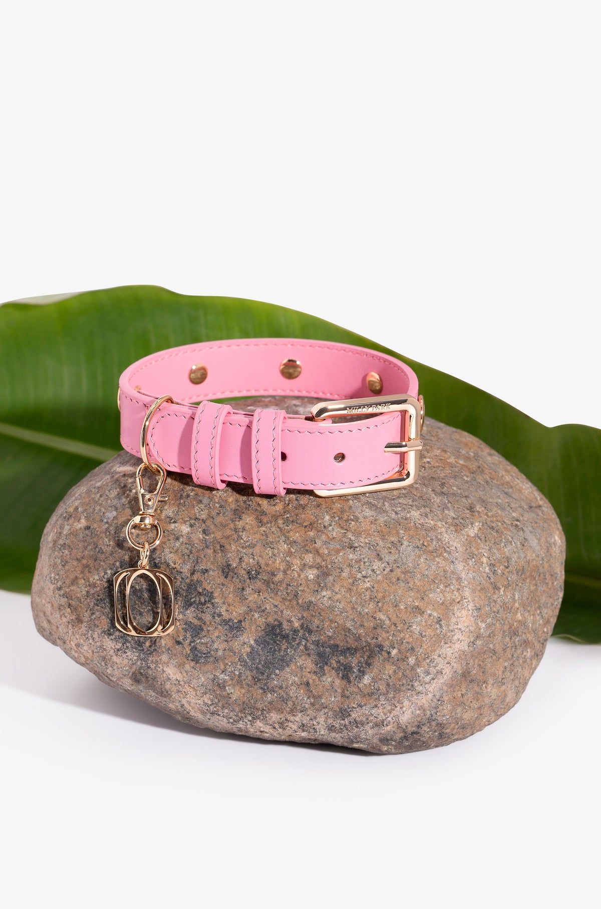 Signature Logo Leather Pet Collar