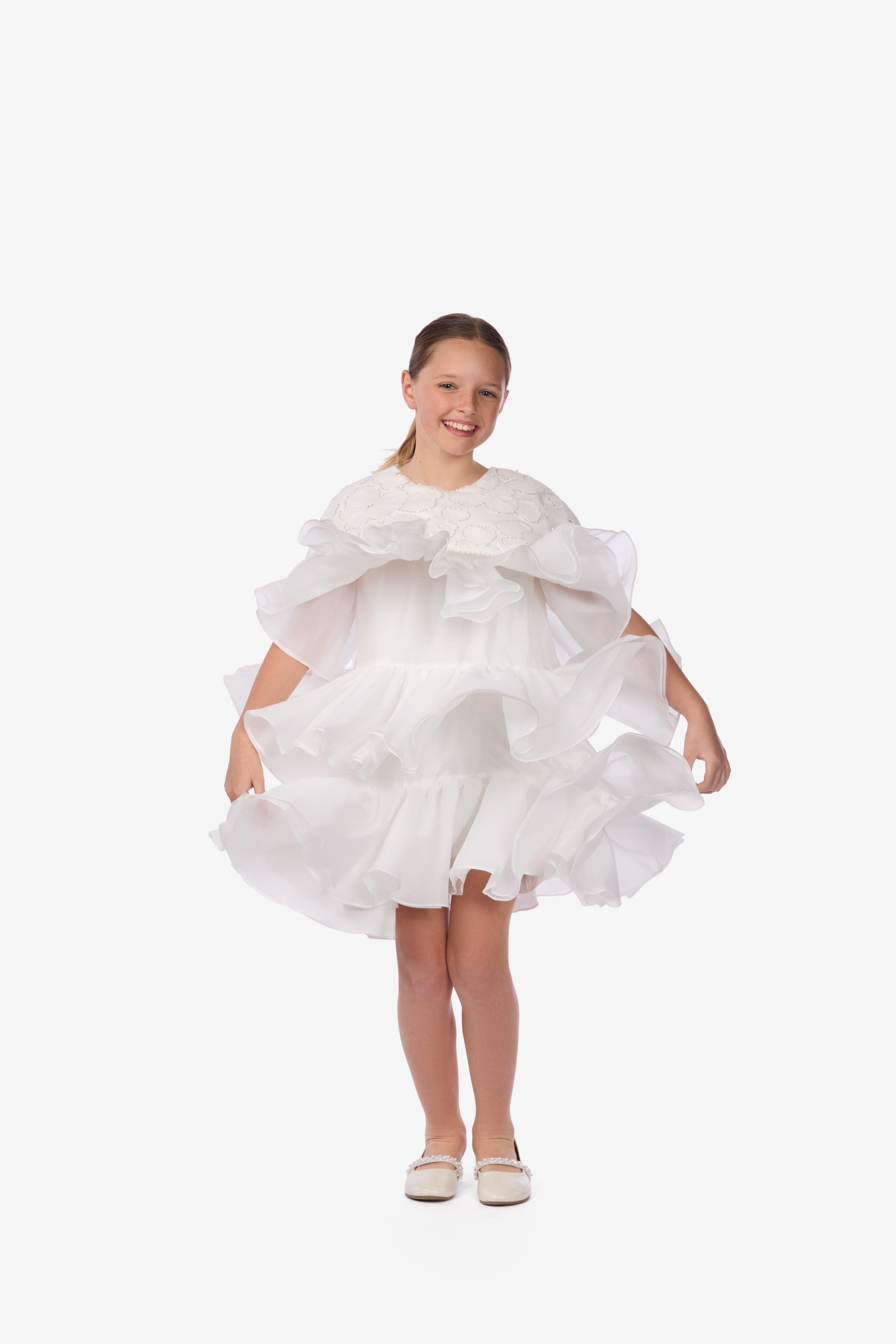 Embroidered Organza Tiered Dress
